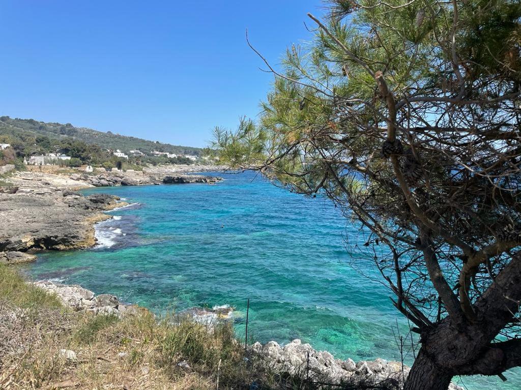 A Quai A Chiara Villa Andrano Kültér fotó