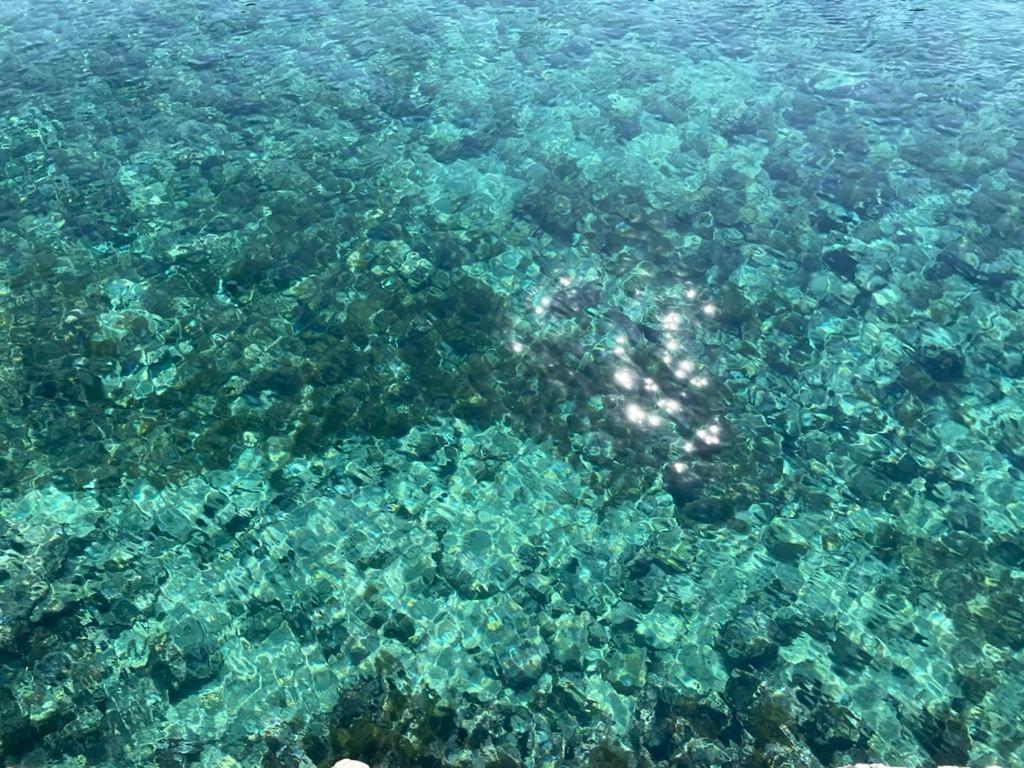 A Quai A Chiara Villa Andrano Kültér fotó